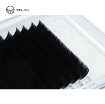 تصویر  پالت White وین لش (Winlash)