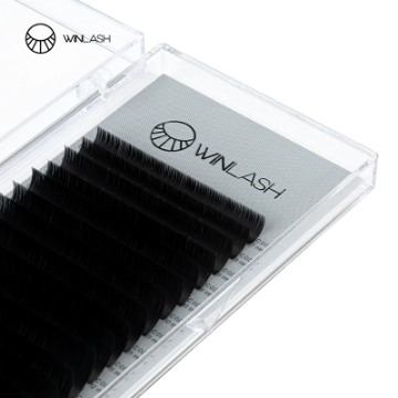 تصویر  پالت تایتان وین‌لش (WinLash)