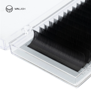 تصویر  پالت تایتان وین‌لش (WinLash)