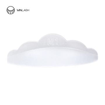 تصویر  بیگودی دالیزلش (Dollyslash)