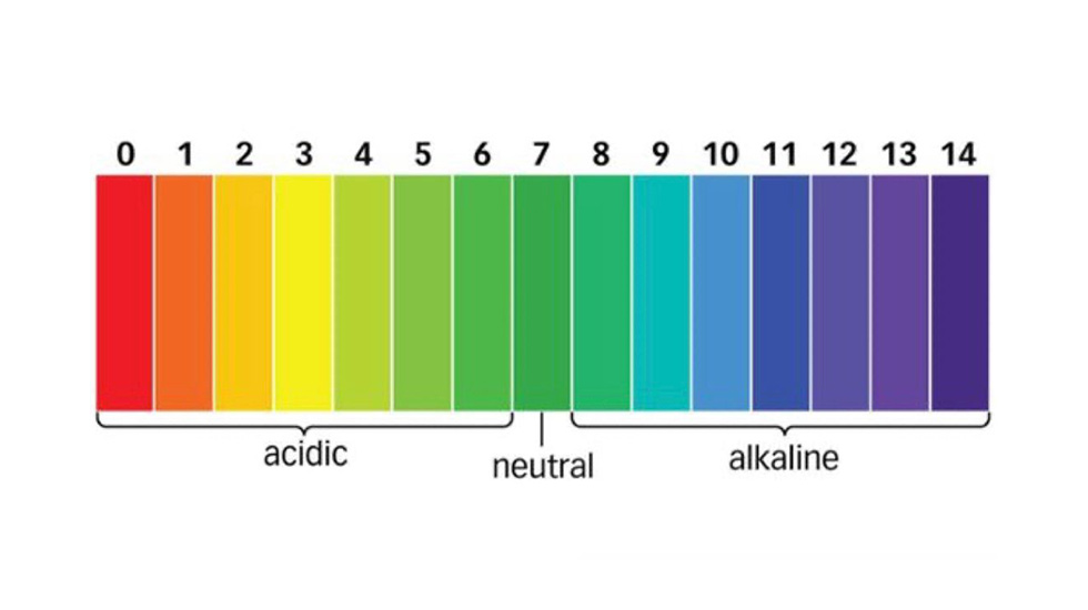 وینلش-Ph(پی اچ)چیست؟