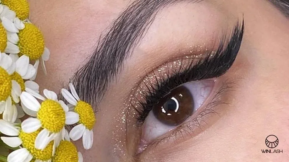 نمای نزدیک از چشم با مژه‌های کاشت موقت بلند و طبیعی همراه با گل‌های بابونه – کاشت موقت مژه وین‌لش